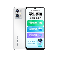 二手360 OS T20 pro回收