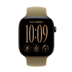 二手Apple Watch Series 12回收