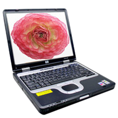 二手惠普 Compaq nc6000回收