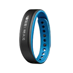 二手佳明 vivosmart 2回收