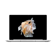 二手联想 IdeaPad 14s 2020回收