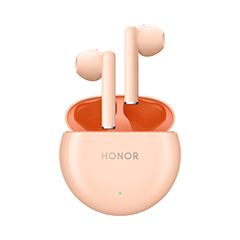 二手荣耀 Earbuds X5回收