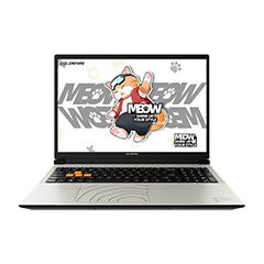 二手七彩虹 MEOW 橘宝 R16 Pro回收