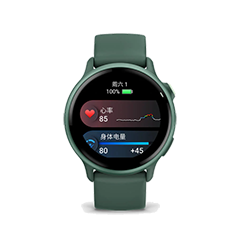 二手佳明 Garmin Active 6回收