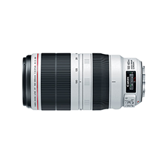 二手佳能 EF 100-400mm f4.5-5.6 L IS II USM回收
